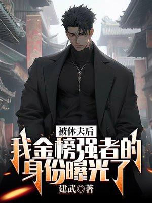 被休夫后,我金榜强者的身份曝光了