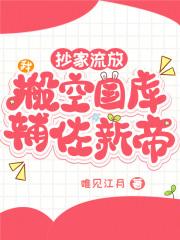 抄家流放?我搬空国库辅佐新帝