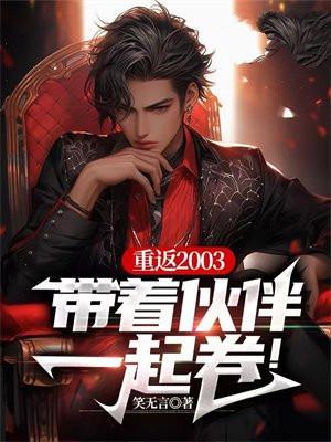 重返2003,带着伙伴一起卷!