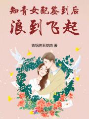 知青女配签到后,浪到飞起