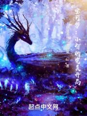 宝可梦:小智的完美旅途