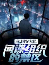 我,国安大佬,间谍组织的禁区