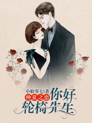 仲夏之恋:你好,轮椅先生