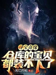 寻宝奇缘,仓库的宝贝都装不下了