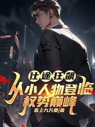 仕途狂飙:从小人物登临权势巅峰!