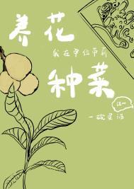 重生官场:从迎娶书记女儿开始