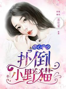 猎心帝少,扑倒小野猫