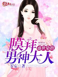 盛世染指:膜拜男神大人
