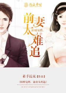 旧婚复燃,前妻太难追