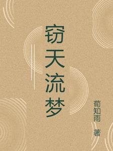 窃天流梦