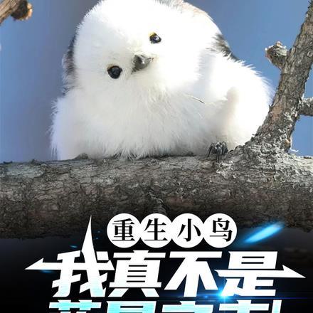 重生小鸟,我真不是蓝星之主!