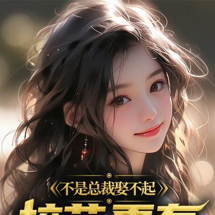 不是总裁娶不起,校花更有性价比