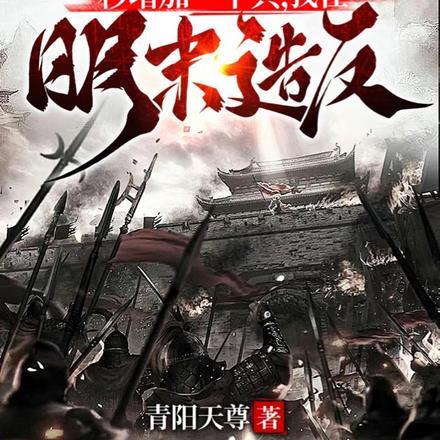 一秒增加一个兵,我在明末造反