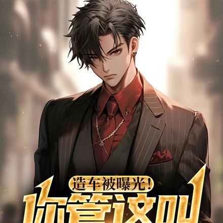 造车被曝光!你管这叫老头乐?