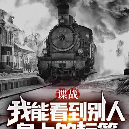 谍战:我能看到别人身上的标签