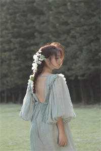 精修版四合院:小人物的炮灰生涯