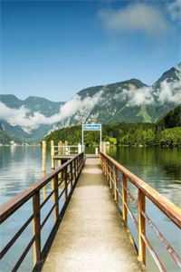 完整章节阅读嫁给军阀大佬后,美千金她要离婚