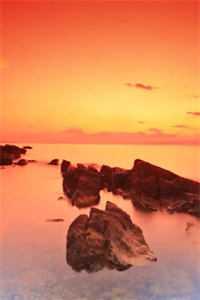 嫂子:我真不是傻子了短篇小说阅读