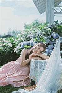 港综:加入洪兴后,我混成龙头精品小说