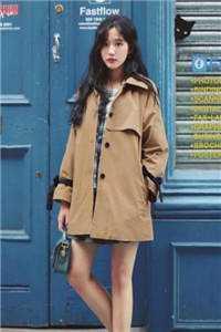 短篇小说军婚甜宠:冷酷军官的全能娇妻