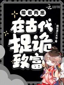 带着两崽,在古代捉诡致富