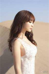 大明:距离灭国还有七天?他坐吃等死了完整文集