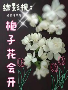 综影视:赠花手留香