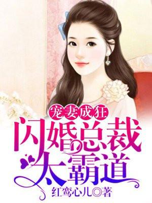 宠妻成狂:闪婚总裁太霸道
