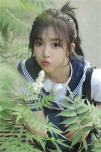 末世重生成猫,我紧抱大佬大腿畅读佳作