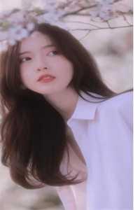 大佬,你的喵又捣乱了全文