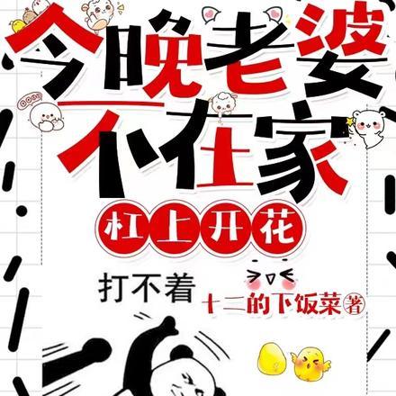 今晚老婆不在家,杠上开花