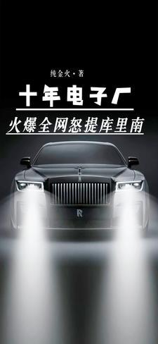 十年电子厂,火爆全网怒提库里南