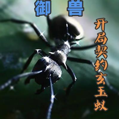 御兽:开局契约玄玉蚁