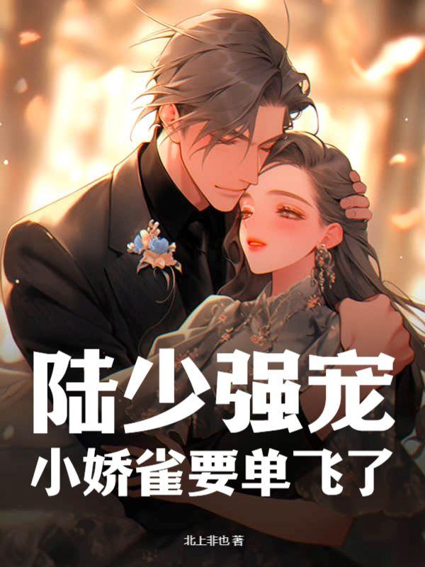 陆少强宠,小娇雀要单飞了