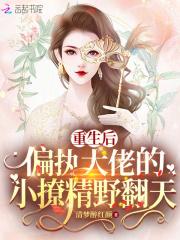 重生后,偏执大佬的小撩精野翻天
