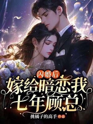 闪婚后,老公马甲一件一件掉