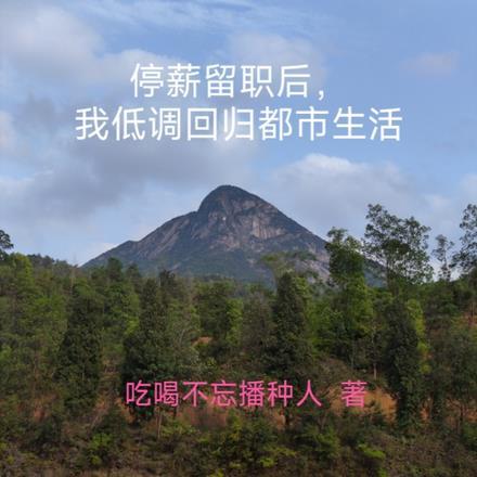 停薪留职后，我低调回归都市生活