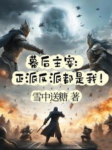 幕后主宰:正派反派都是我!