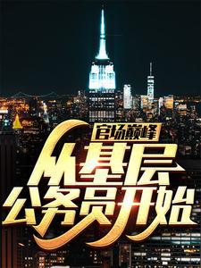 官场巅峰:从基层公务员开始