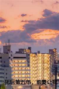 死后第五年,前妻让我去参加婚礼