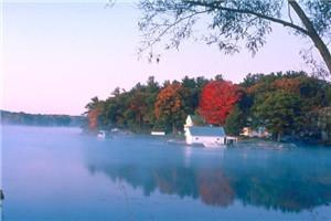 昏君当政:我一奸臣怎么就皇后了全文赏析