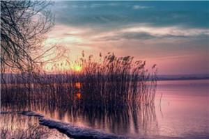 穿成锦鲤妃:王爷他是钢铁直男推荐必读