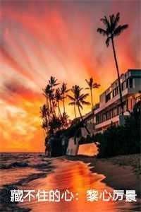 藏不住的心:黎心厉景烨