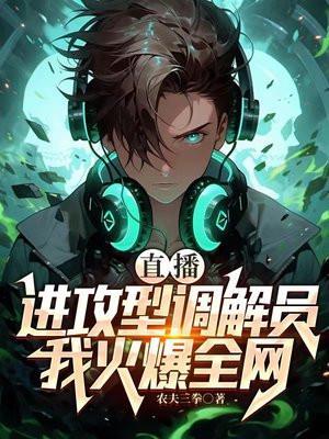 直播:进攻型调解员,我火爆全网