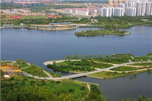 麒麟哥真狠人,有墓他真下!