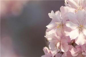 修仙:从征服女帝开始推荐必读