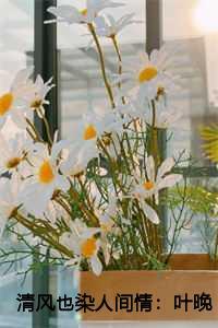 清风也染人间情:叶晚柒贺君城