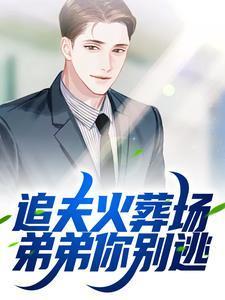 追夫火葬场!弟弟你别逃