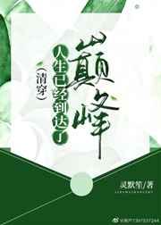 赛博朋克:铁穹秩序