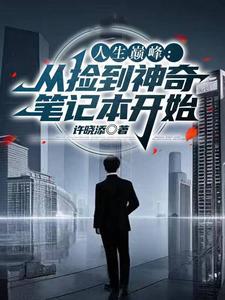 人生巅峰:从捡到神奇笔记本开始